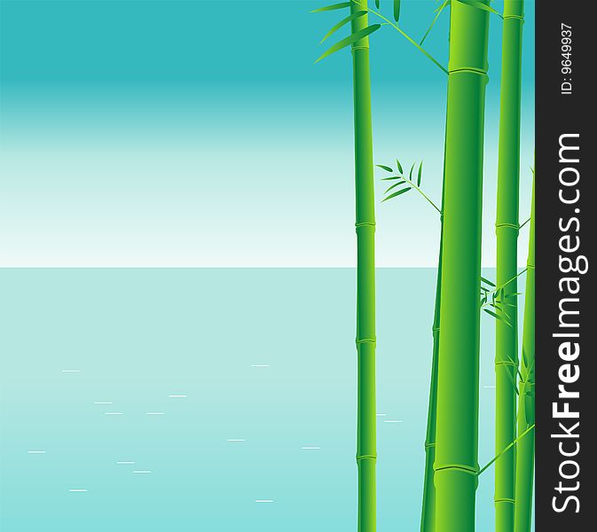 The water's edge of the bamboo