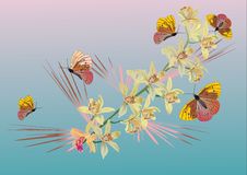 Butterflies And Ochids On Pink And Blue Royalty Free Stock Photo