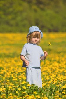 Boy With A Dandelion Royalty Free Stock Photo Boy With A Dandelion Royalty Free Stock Photo