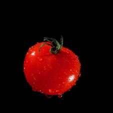 Red Ripe Tomato Stock Photography