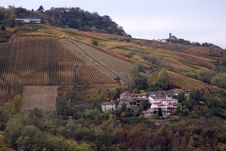 Italian Vineyards In Oltrepo Pavese Stock Images Italian Vineyards In Oltrepo Pavese Stock Images