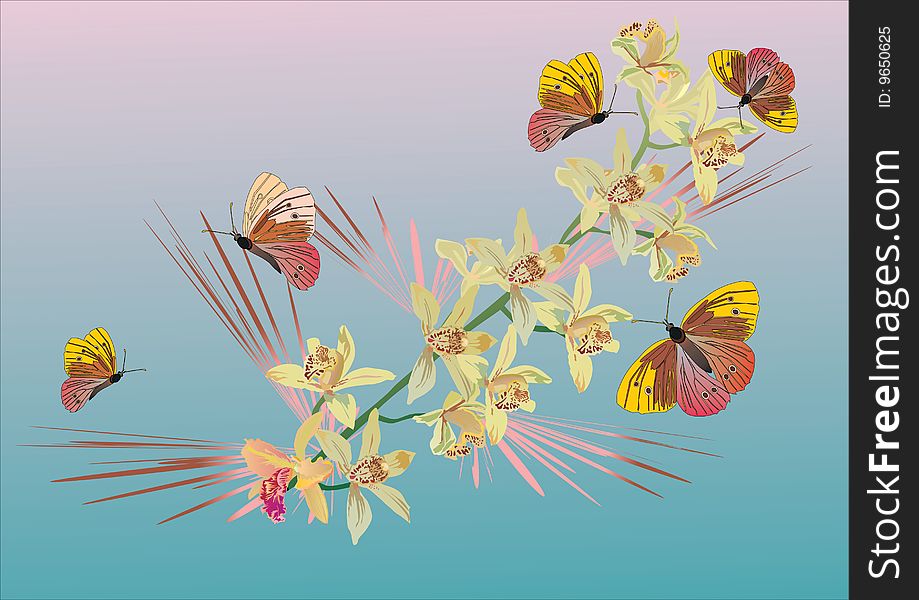 Butterflies and ochids on pink and blue