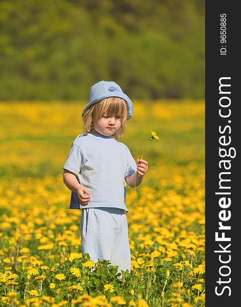 Boy 2,5 years, holding dandelion standing in a spring field. Boy 2,5 years, holding dandelion standing in a spring field