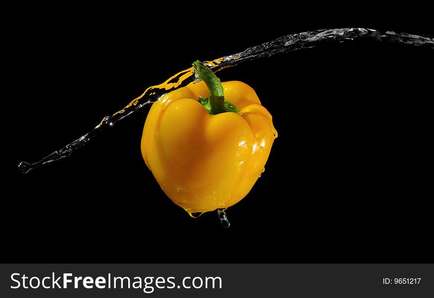 Yellow pepper in water stream on black background