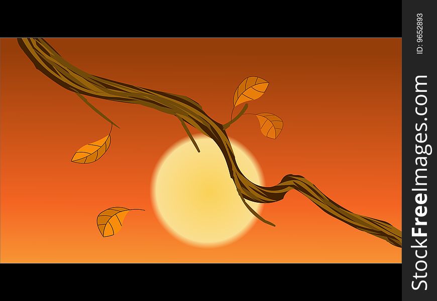 The rattan under the Sunset -illustrator