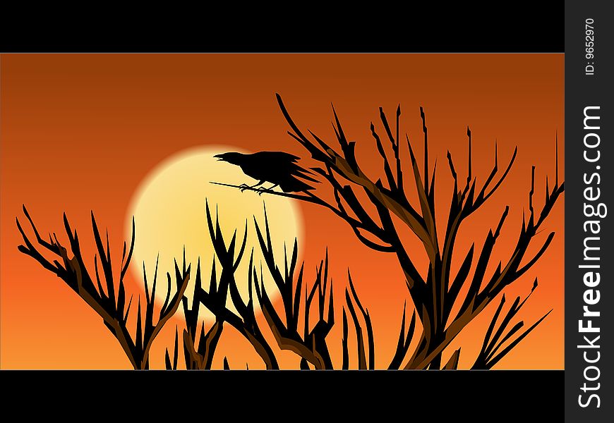 The Crow Calls In The Sunset