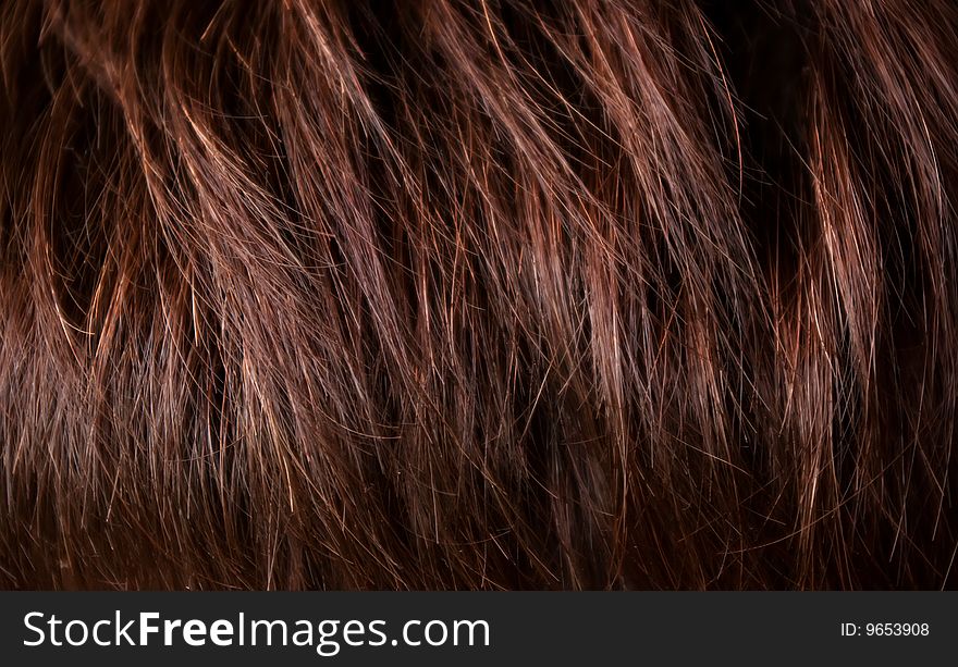 Brunette woman's hair closeup plan