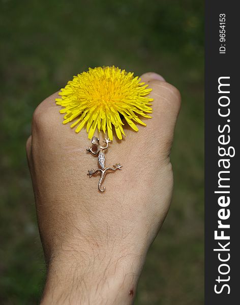 Dandelion in hand