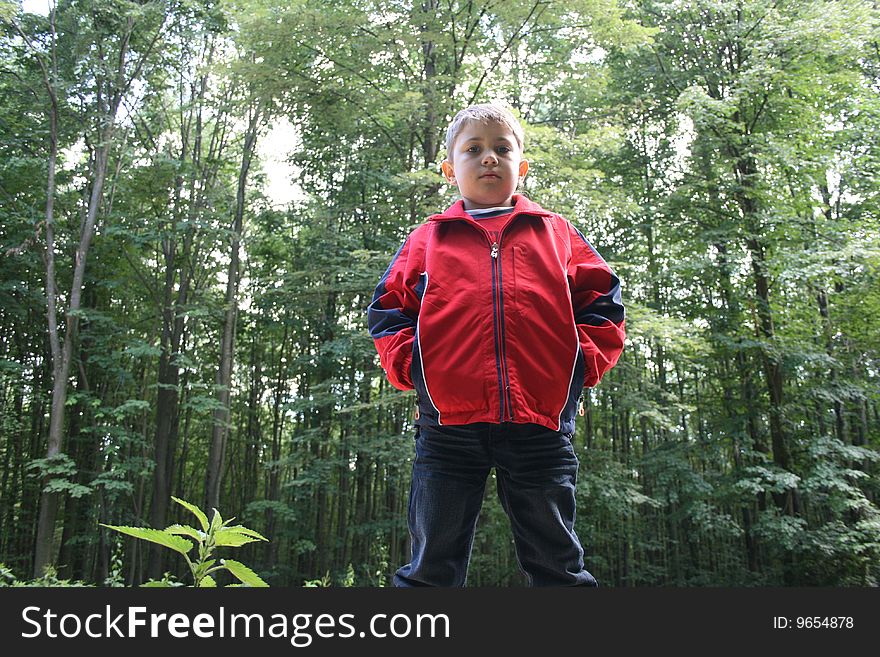 A boy in red blouse and his forest. A boy in red blouse and his forest