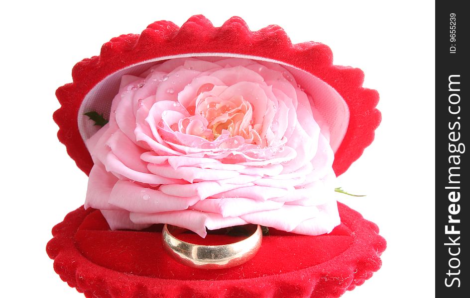 Ring with a rose in a box, on a white background, it is isolated. Ring with a rose in a box, on a white background, it is isolated.