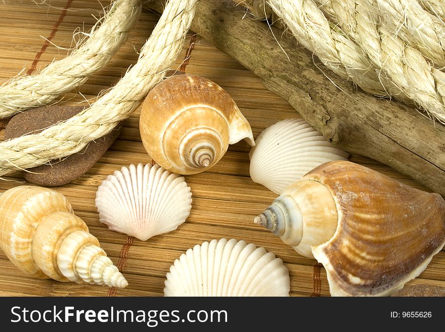 Different shells and rope lying on a bast mat. Different shells and rope lying on a bast mat
