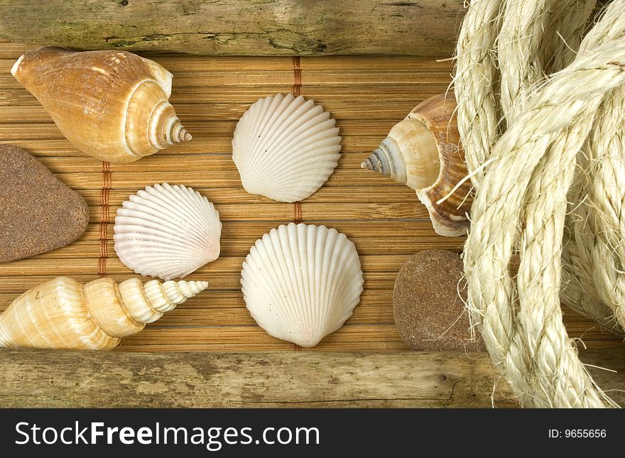 Different shells and rope lying on a bast mat. Different shells and rope lying on a bast mat
