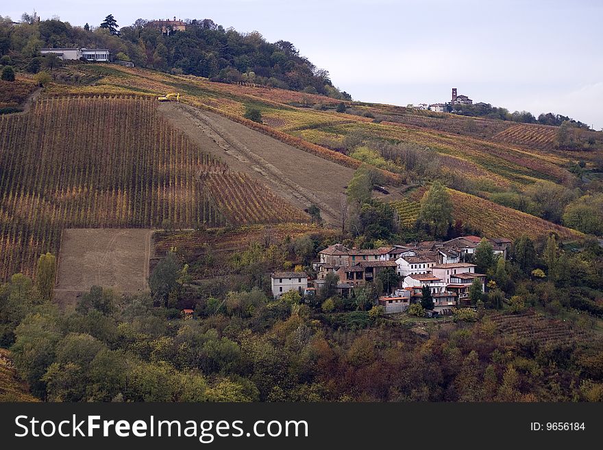 Italy: coloured vineyards and vines of Oltrepo Pavese. Italy: coloured vineyards and vines of Oltrepo Pavese