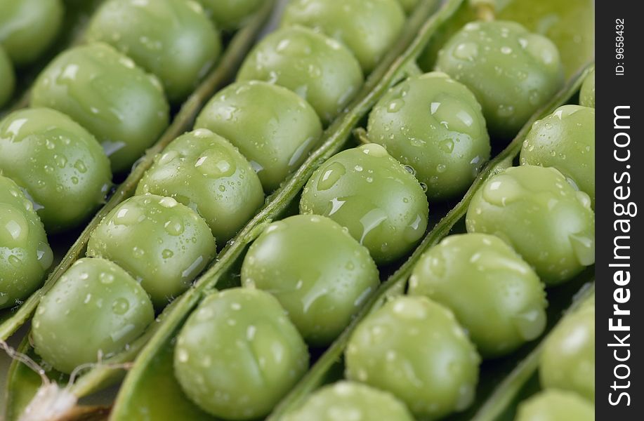 Green peas in pods with water drops