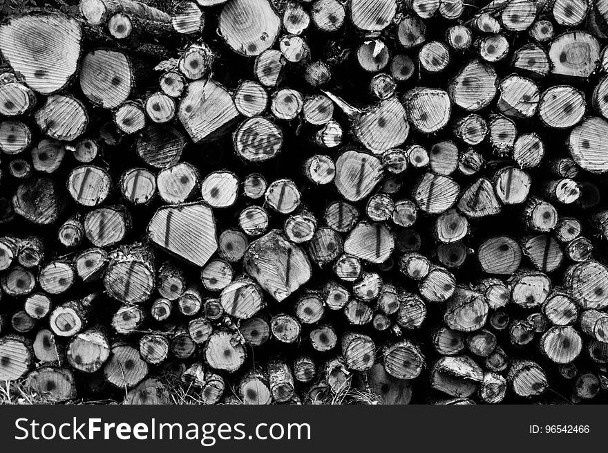 Grayscale Photography Of Wirewood Logs