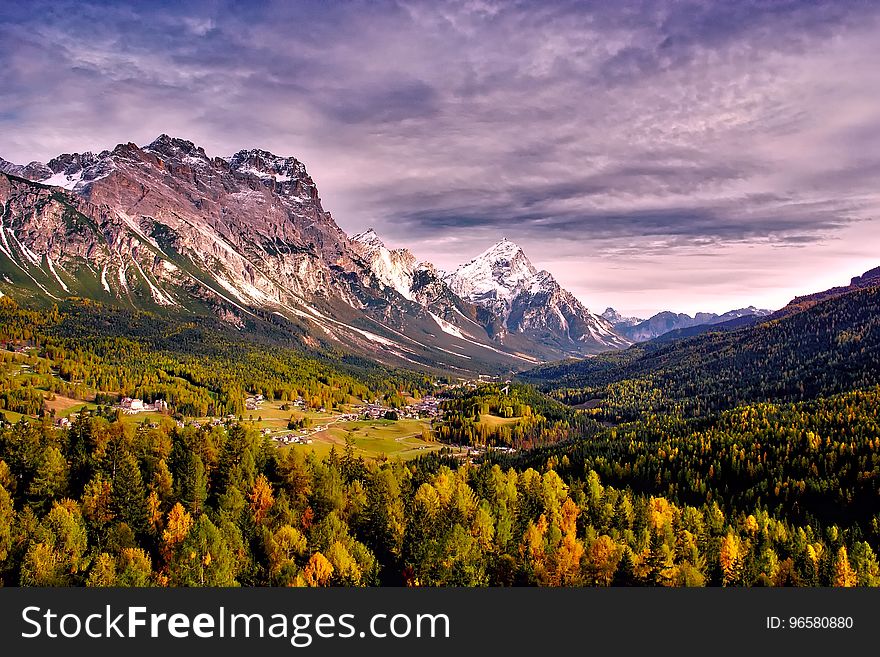 Mountains and Trees Photo