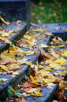 Autumn Background Royalty Free Stock Image Autumn Background Royalty Free Stock Image