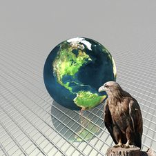 3D Globe With Eagle Royalty Free Stock Images