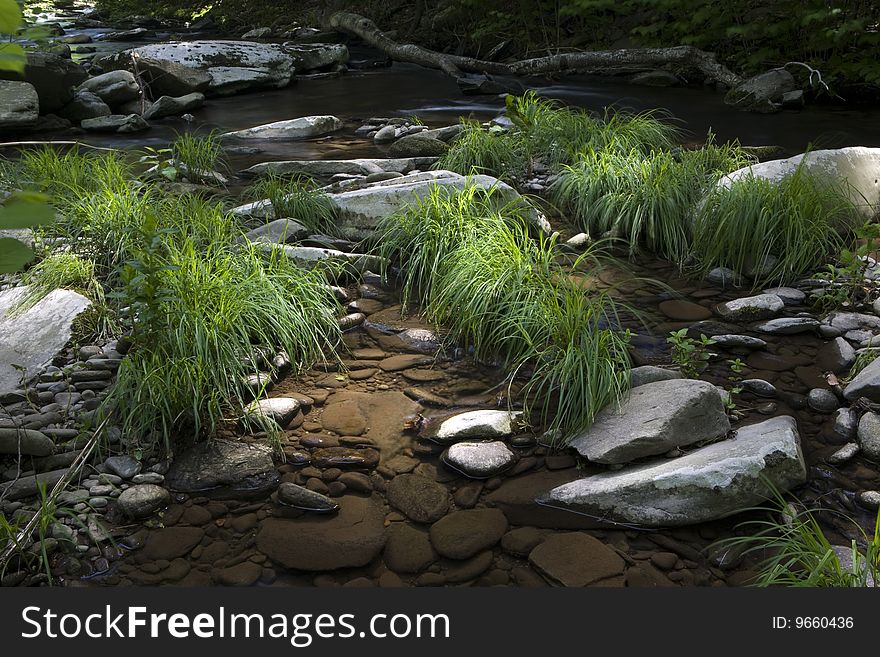 Little stream in New York State, early morning. Little stream in New York State, early morning.