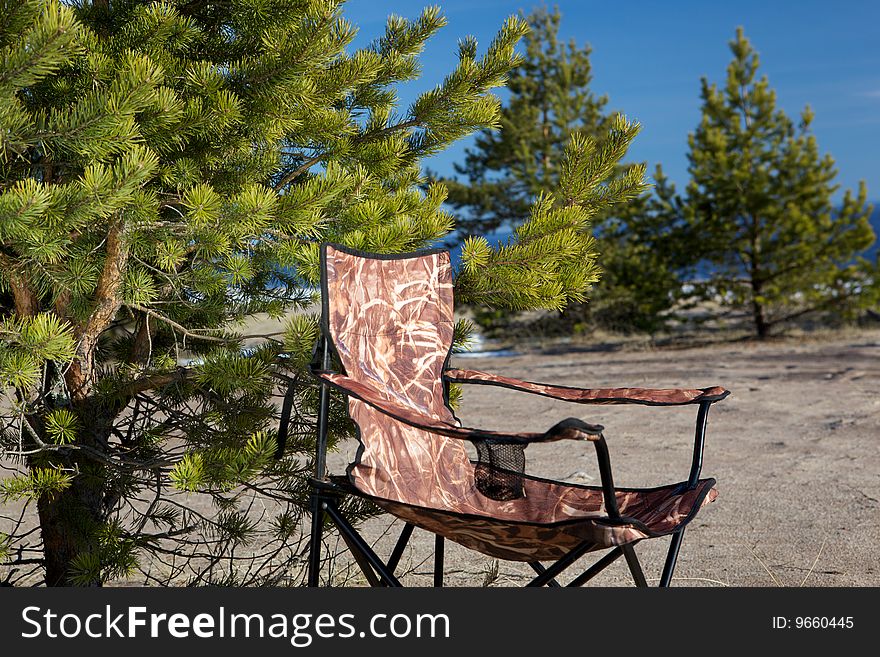 Folding chair in the forest