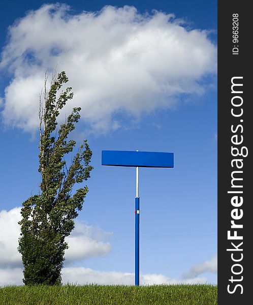 Blank sign post with tree and white cloud sky. Blank sign post with tree and white cloud sky
