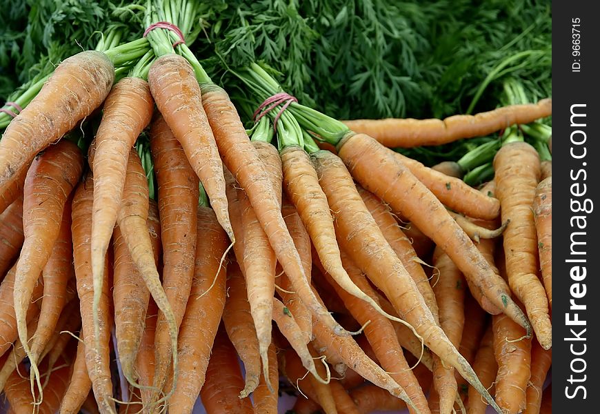 Some bunches of carrots at the market
