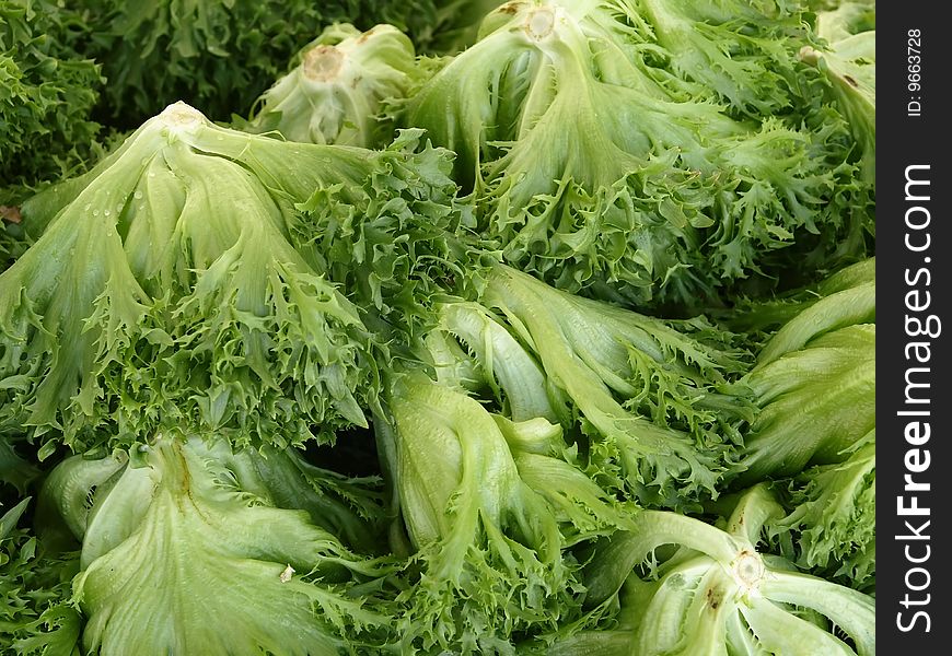 A pile of fresh green salad at the market