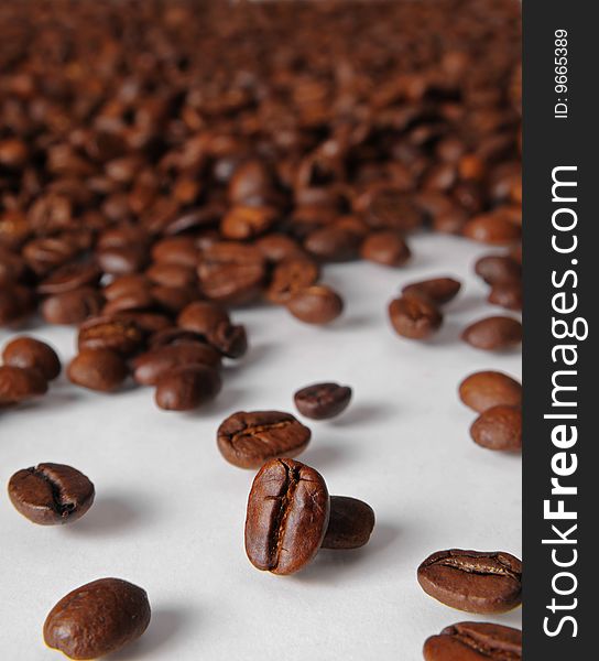 Coffee beans, macro closeup for designers