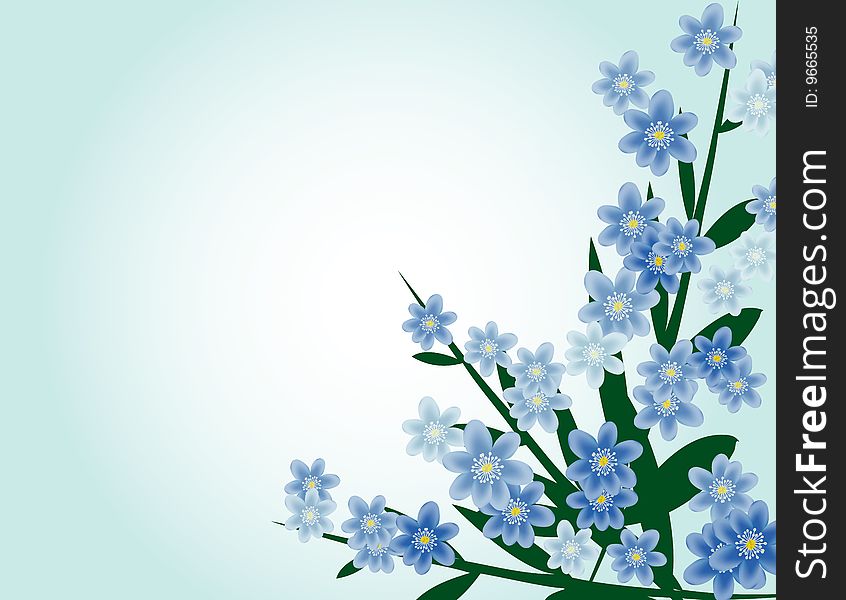 Illustration of small blue flowers. Illustration of small blue flowers