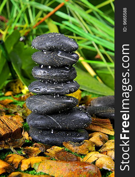 Black zen stones in jungle with water drops
