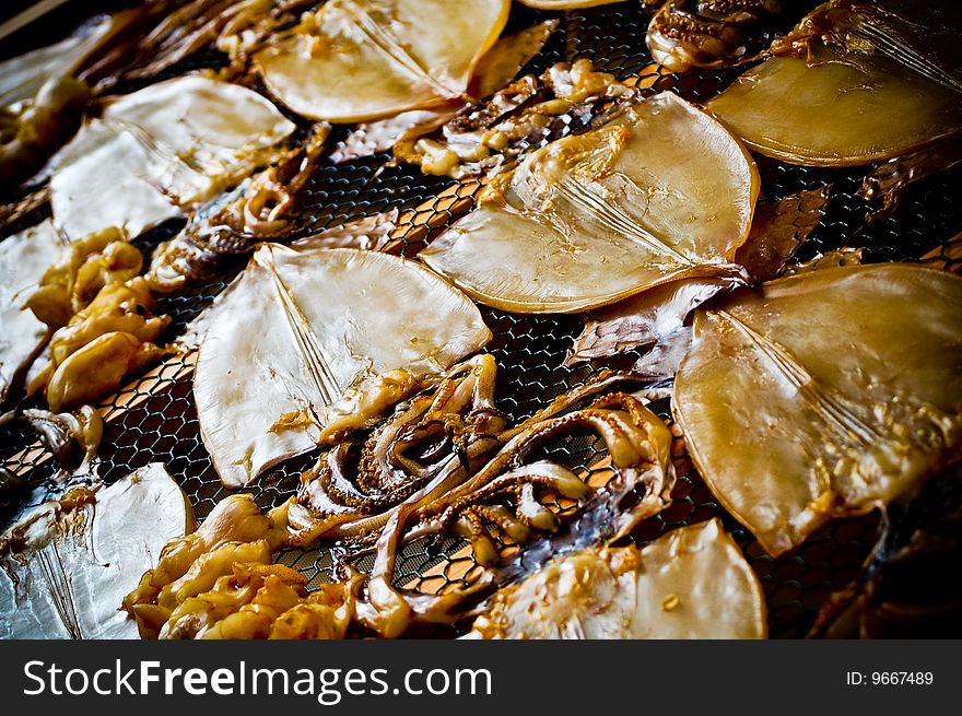 Squid being dried for consumption. Squid being dried for consumption