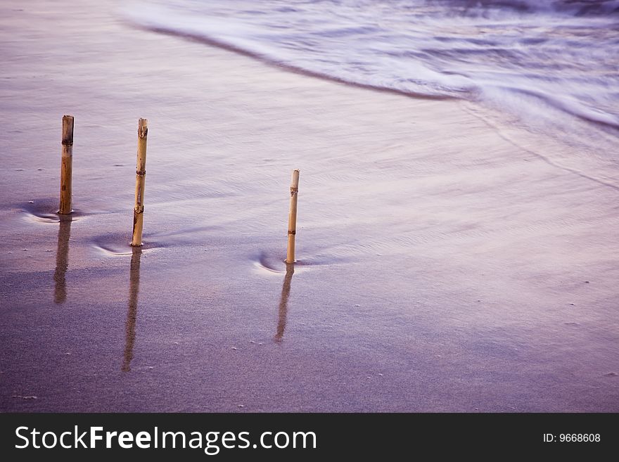 Three canes in long exposed water. Three canes in long exposed water.