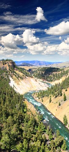 The Yellowstone River In Yellowstone NP Stock Image The Yellowstone River In Yellowstone NP Stock Image