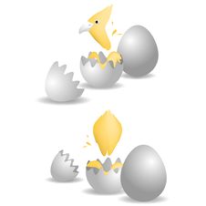 Egg Rear Royalty Free Stock Images