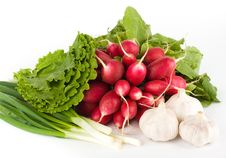 Spring Onions, Garlic, Lettuce And Radish Royalty Free Stock Images Spring Onions, Garlic, Lettuce And Radish Royalty Free Stock Images