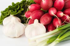 Spring Onions, Garlic, Lettuce And Radish Royalty Free Stock Photography Spring Onions, Garlic, Lettuce And Radish Royalty Free Stock Photography