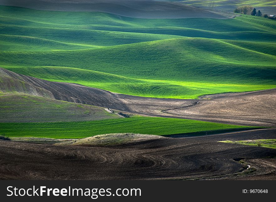 Palouse Farm