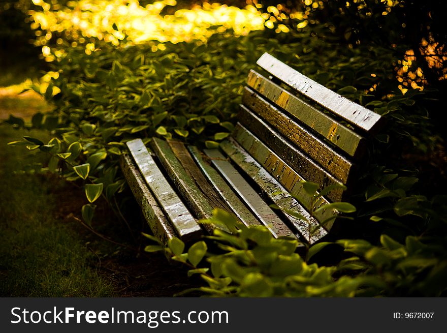 An old park bench in a local Virginia park