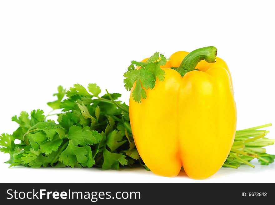 Yellow paprika and fresh  green cilantro isolated on white. Yellow paprika and fresh  green cilantro isolated on white.