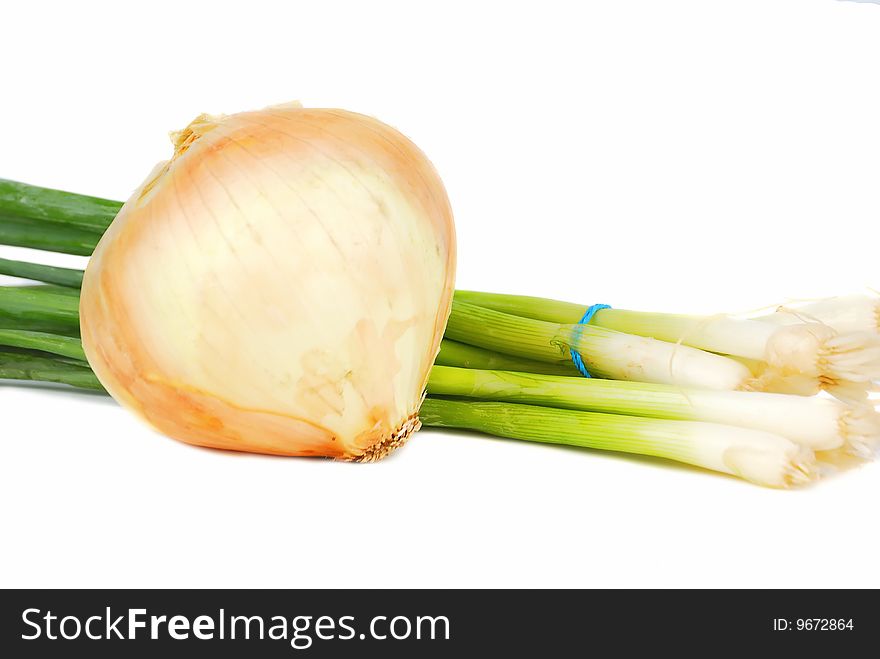 Fresh seasonal onion isolated on the white background. Fresh seasonal onion isolated on the white background.