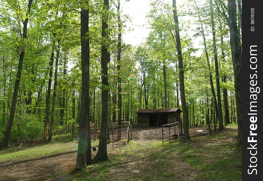 Rustic horse barn in a field. Rustic horse barn in a field.