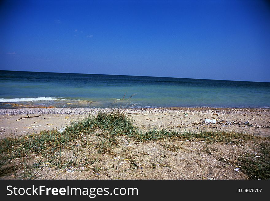 Black sea, blue sky and beach with seashells. Black sea, blue sky and beach with seashells
