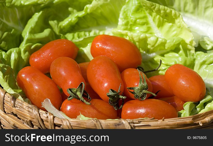 Photo of biological fresh tomatoes and salad. Photo of biological fresh tomatoes and salad