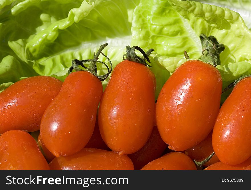 Close up of fresh tomatoes and salad. Close up of fresh tomatoes and salad