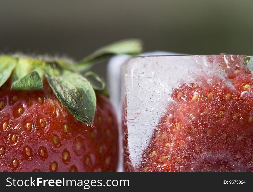 Close up of a strawberry and a frozen strawberry. Close up of a strawberry and a frozen strawberry