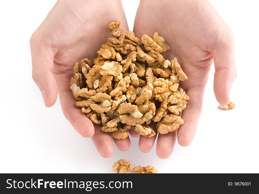 Human hand holding three walnut nuts over white background. Human hand holding three walnut nuts over white background