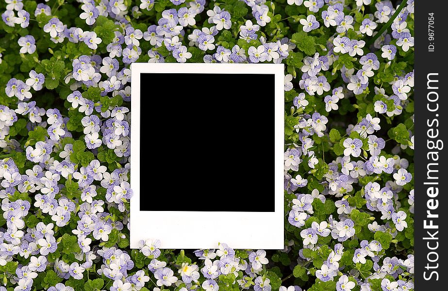 Blank photo on floral background
