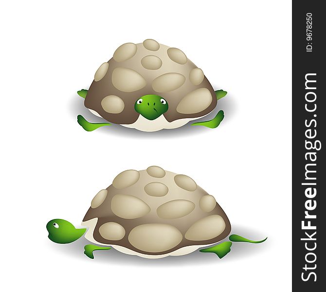 A cartoon vector illustration of a turtle isolated on white background, front and side-view. A cartoon vector illustration of a turtle isolated on white background, front and side-view.