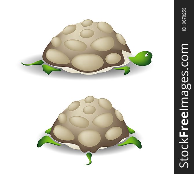 A cartoon vector illustration of a turtle isolated on white background, rear and side-view. A cartoon vector illustration of a turtle isolated on white background, rear and side-view.