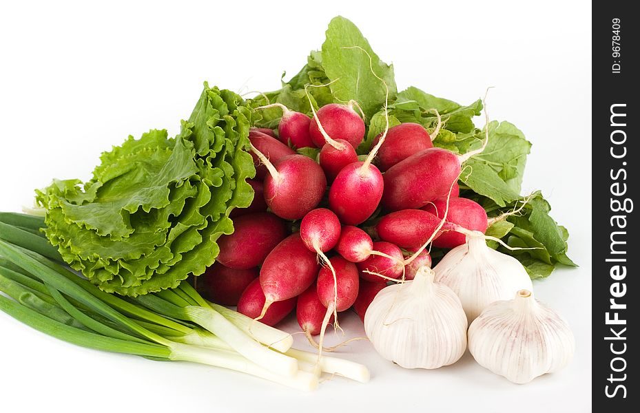 Spring onions, garlic, lettuce and radish bunch on the white background